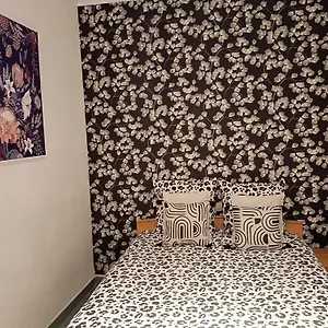 Hyper Centre 1 Jardin Clos Appartement